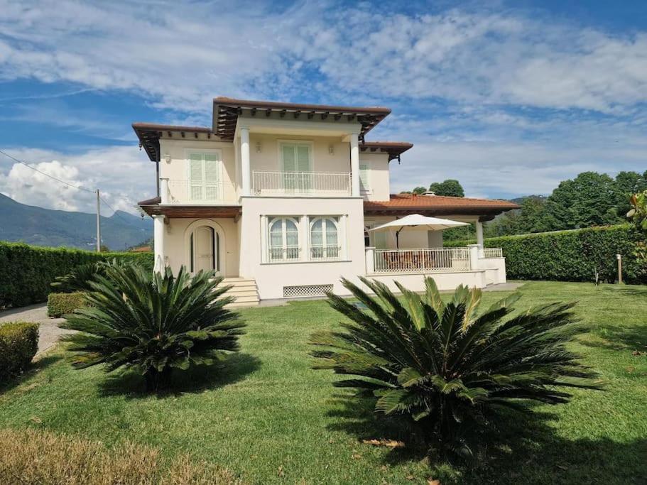 Villa Oriella - Piscina Idromassaggio E Relax -Versilia Camaiore Eksteriør billede